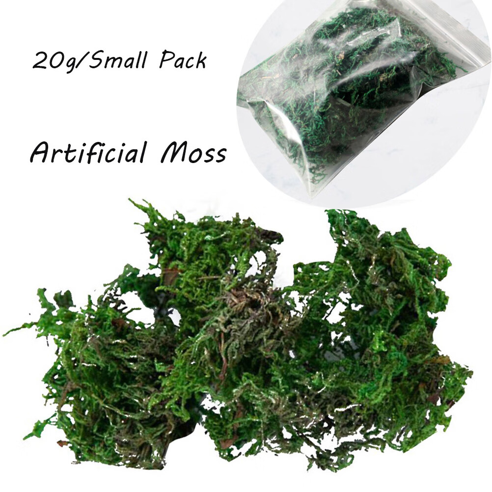 Artificial Moss Lichen Simulation Fake Green Plants for Home Garden Patio  Decoration (20g/Small Pack)